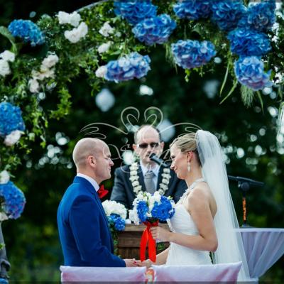 Niebieskie hortensje w dekoracji ślubu cywilnego na świeżym powietrzu