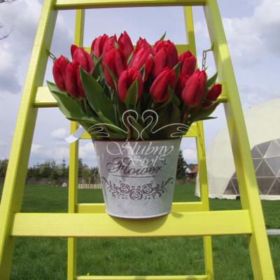 Czerwone tulipany w ozdobnym wiaderku